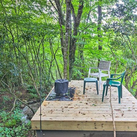 Peaceful Spruce Pine Cabin On 8 Acres With 2 Decks! Eksteriør bilde