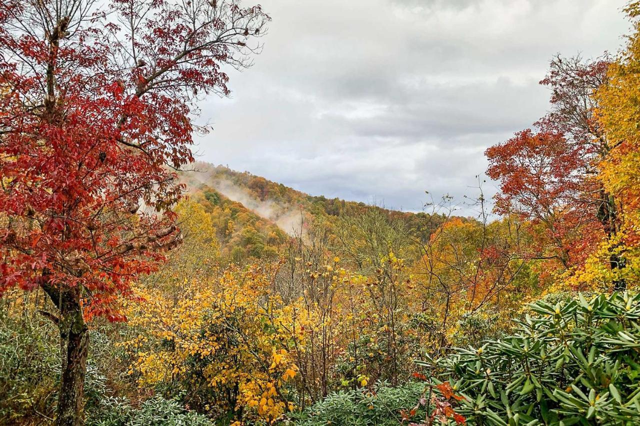Peaceful Spruce Pine Cabin On 8 Acres With 2 Decks! Eksteriør bilde